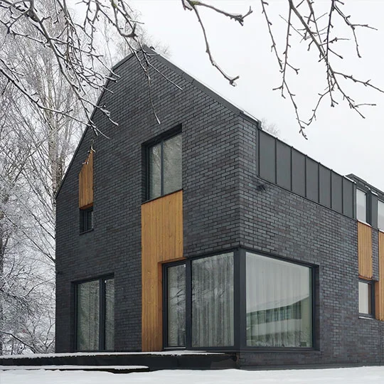 gyvenamojo namo pavilnyje architekturinis projektas